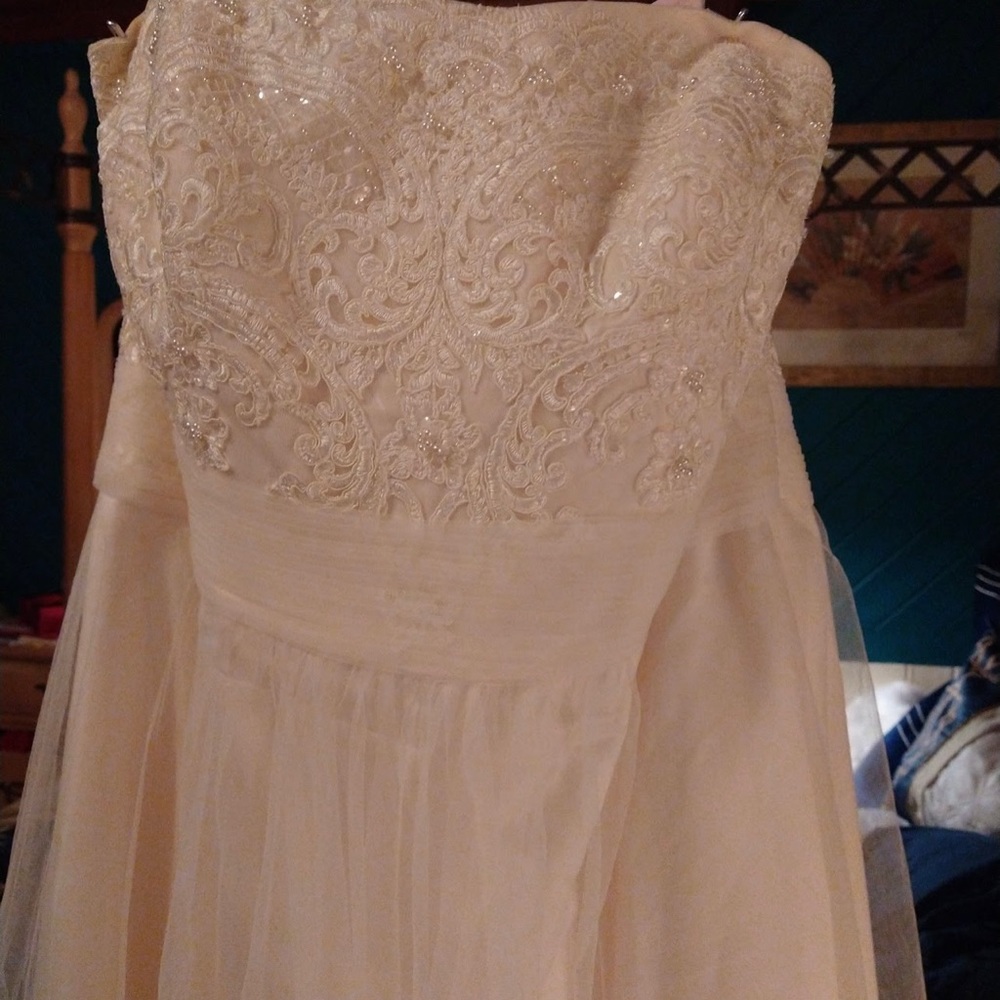 Ivory Strapless Wedding Dress NWT!!